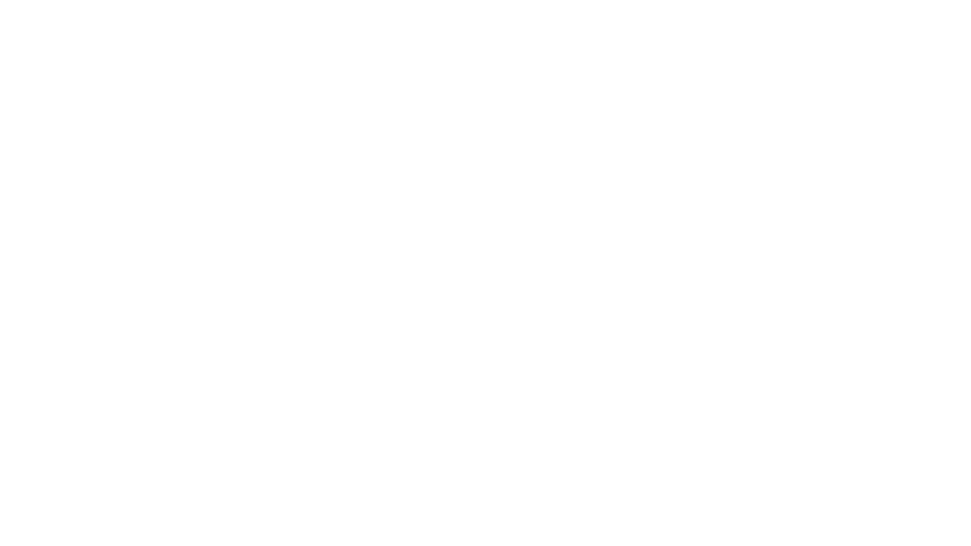 ZOEMTRITION